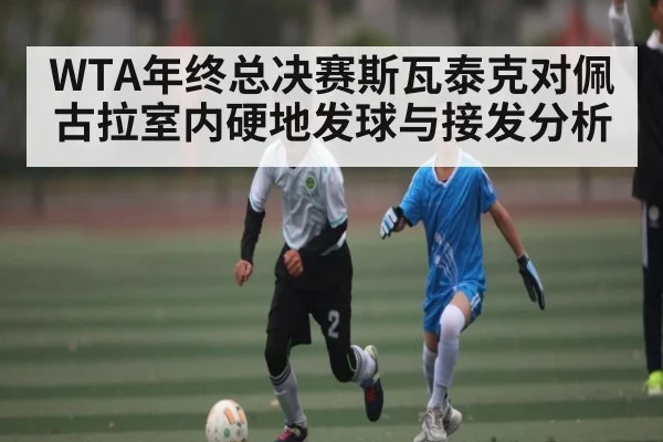 WTA年终总决赛斯瓦泰克对佩古拉室内硬地发球与接发分析